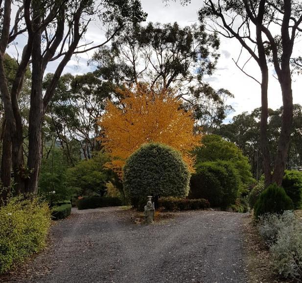 מלון קרייפרס Mt Lofty Botanic Garden Studio מראה חיצוני תמונה