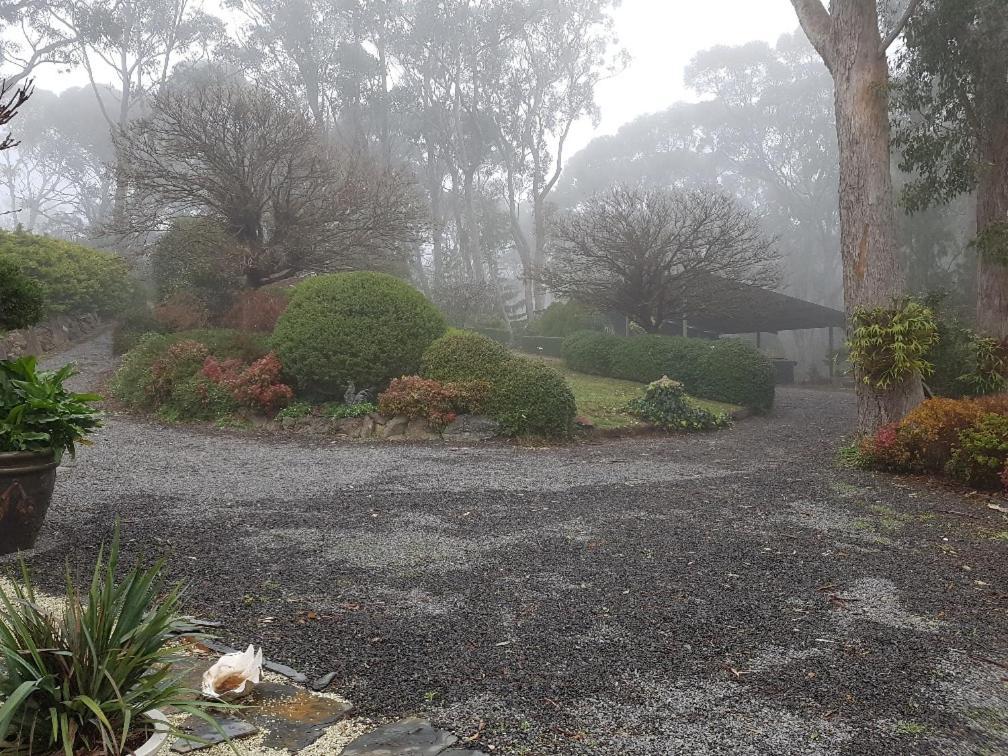 מלון קרייפרס Mt Lofty Botanic Garden Studio מראה חיצוני תמונה